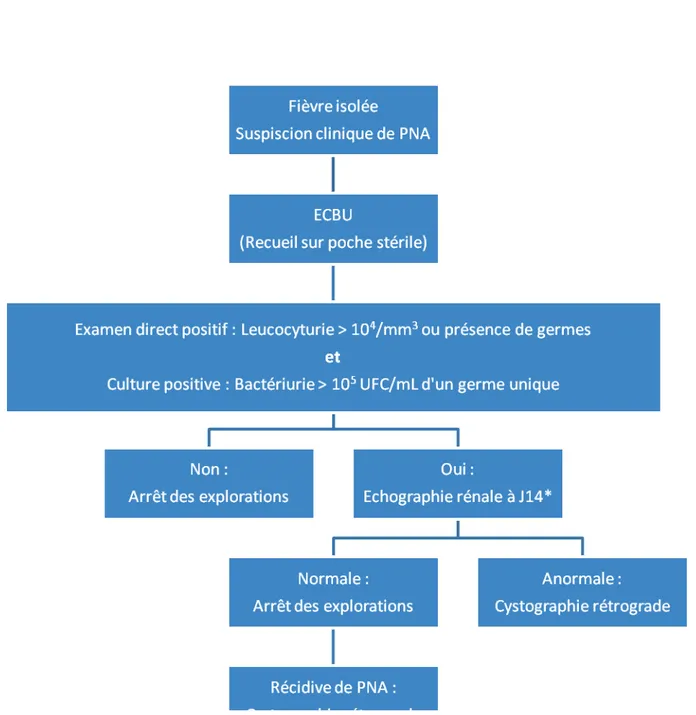 Figure 12 : Proposition de stratégie diagnostique pour le RVU après un premier épisode de PNA chez l'enfant de  moins de 2 ans