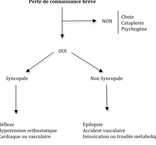 Figure   1   :   Classification   des   pertes   de   connaissances   selon   HAS   et   ESC   2009   :    1,2   