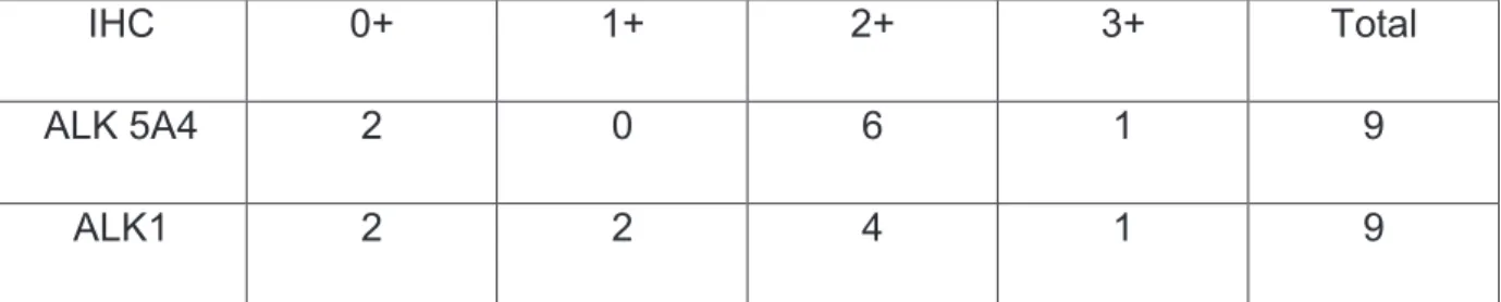 Figure 13 : Comparaison de lintensité de marquage des clones  5A4 et clones 1 