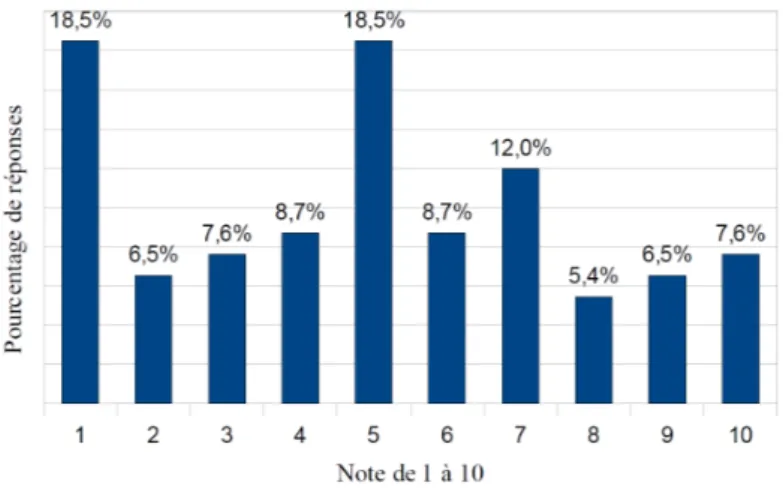 Figure 1  Evaluation de la motivation par l'échelle numérique