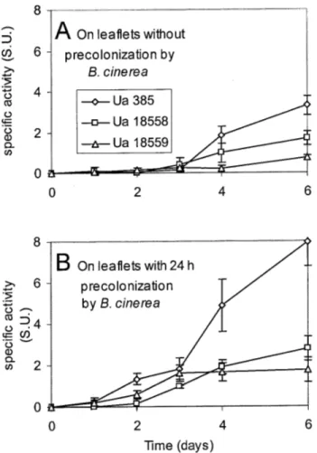 Fig. 5. β-1,3-Glucanase activity produced by different strains of Ulocladium  atrum (385, 18558, and 18559) on strawberry necrotic leaflets precolonized  by  B