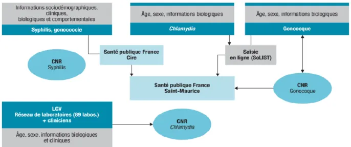 Figure  1 :  organisation  de  la  surveillance  des  infections  sexuellement  transmissibles  en  France