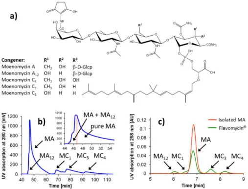 Fig. 3. Sensorgrams of S. aureus MtgA binding to moenomycin chip. (a) Sensorgrams of a concentration series of moenomycin A in presence of 400 nM MtgA; injection of the solutions starts at 0 s and lasts for 150 s