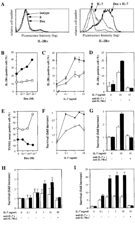 FIGURE 5. Glucocorticoids enhance IL-7-medi- IL-7-medi-ated action on IL-2R ␣ expression and survival