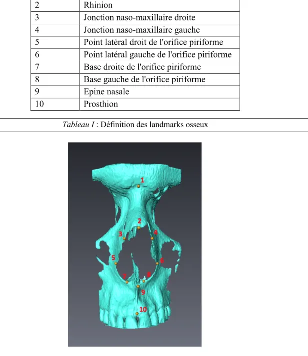 Figure 15 : Positionnement des 10 landmarks osseux sur les reconstructions 3D 