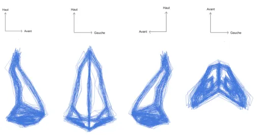 Figure 11: Conformation moyenne de la pyramide nasale après superposition procuste généralisée 