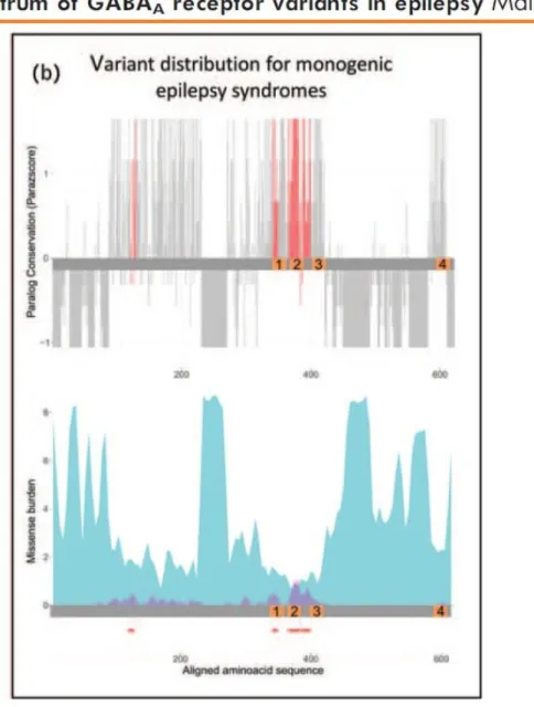 Figure 3 : tirée de l’article Maljevic et al. : Positions des variants dans les gènes codant pour les  sous-unités du récepteur au GABAA associés à des syndromes épileptiques  monogéniques