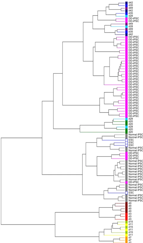 Fig. S2. Reproducibility of DD-iPSC related gene expression. Shown are the hierarchical clustering of 144 DD-iPSC marker expression in parental HDFs [day (d) 0], intermediate reprogrammed cells at the indicated time points (days 3–49), ESCs, normal iPSCs, 