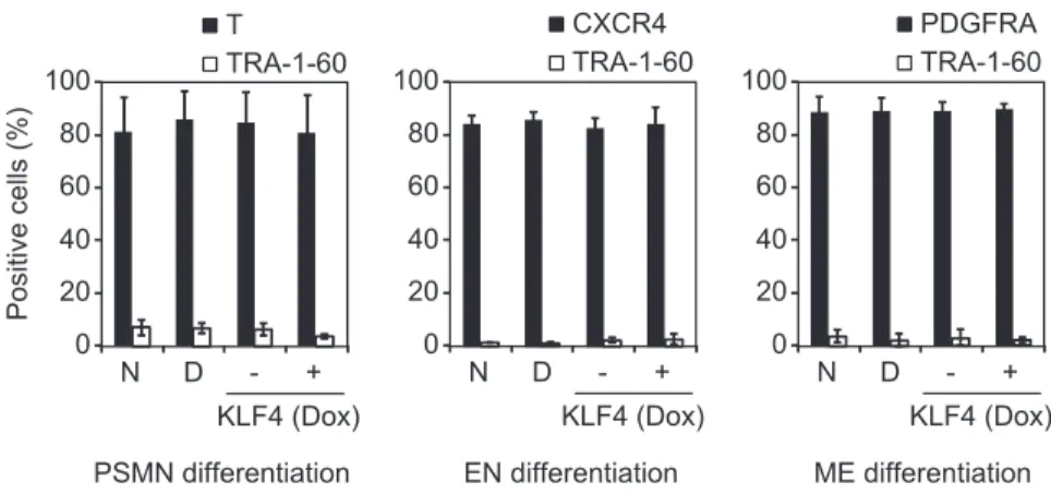 Fig. S5. Differentiation potential of DD-iPSCs and KLF4-overexpressing iPSCs. Normal iPSCs (N), DD-iPSCs (D), and normal iPSCs transduced with Dox-inducible KLF4 were differentiated into primitive streak-like mesendoderm (PSMN), endoderm (EN), or mesoderm 