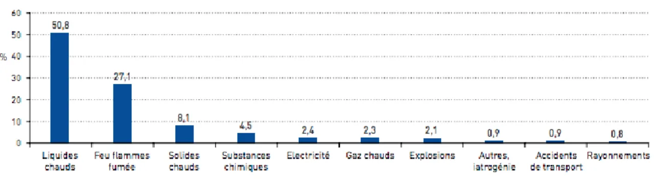 Tableau  1.  Répartition  des  causes  de  brûlures  accidentelles  des  victimes  de  brûlures  hospitalisées en CTB et résidantes en France métropolitaine, PMSI-MCO, 2014