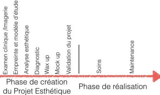 Figure 1 : Place du projet esthétique dans le plan de traitement 