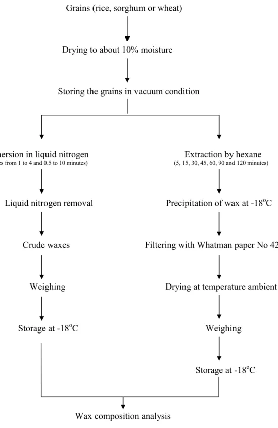 Figure 4.1. Proposed methodology, liquid nitrogen extraction on the left and n-hexane on  the right 