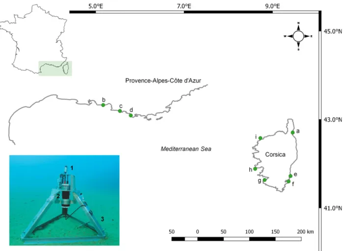 Figure 1. Locations (a-h) of the studied meadows on the French Mediterranean littoral (cf