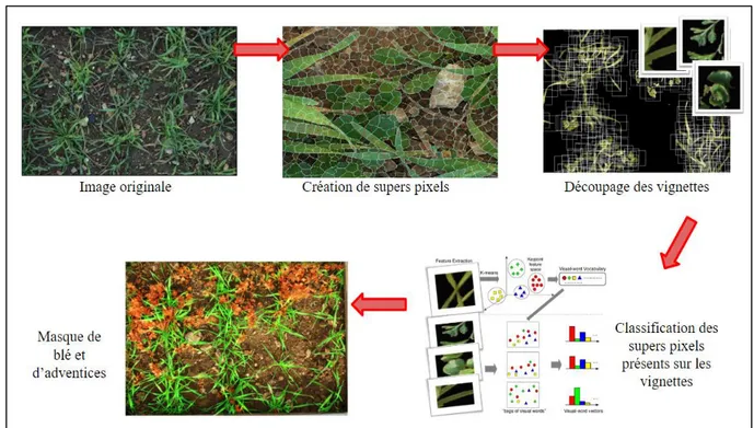 Figure  7 :  Schéma  du  processus  de  séparation  des  pixels  de  sol  et  de  végétation
