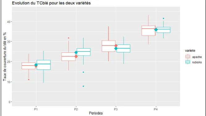 Figure 12 : Evolution temporelle du taux de couverture du blé (TCblé), représentée avec des  boxplots (Agrosup Dijon, 2020)