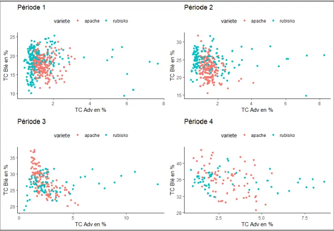 Figure 14 : Représentation du taux de couverture du blé (TCblé) en fonction du taux de couverture  des adventices (TCadv) pour les parcelles Apache et Rubisko aux quatre périodes