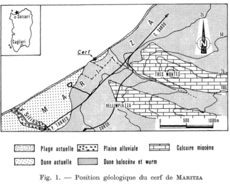 Fig.  1.  - Position  géologique  du  cerf  de  MARITZA  DESCRIPTION  DU  DÉPÔ'l' 