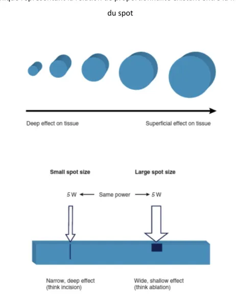 Figure 4 : Graphique représentant la relation de proportionnalité existant entre la fluence et la taille  du spot 