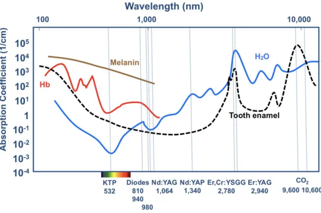 Figure 6 : Les coefficients d’absorption selon la longueur d’onde  