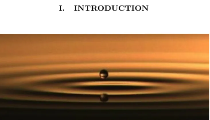 FIG. 1. (Color online) Macroscopic wave-particle coupling. A walker is a millimetric oil droplet that bounces onto a  verti-cally vibrated liquid pool