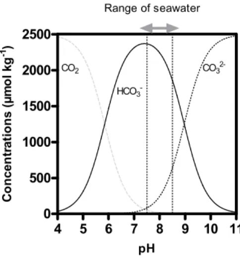 Figure 1.2: Variation of the concentrations (µmol kg -1 ) of the three inorganic forms of CO 2  dissolved in  seawater as function of pH