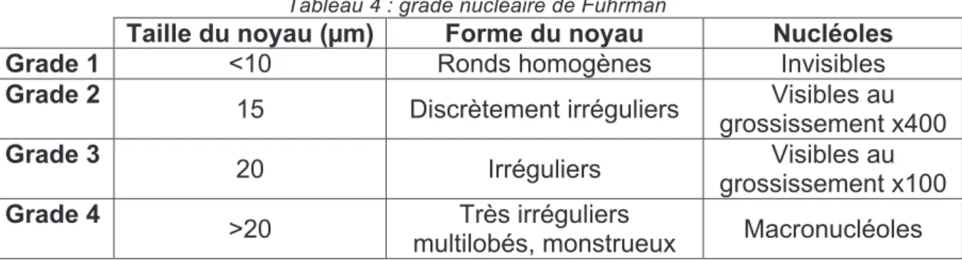 Tableau 4 : grade nucléaire de Fuhrman 