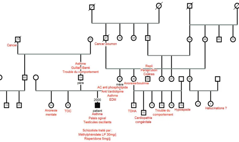 Figure : Arbre généalogique de la famille 1 