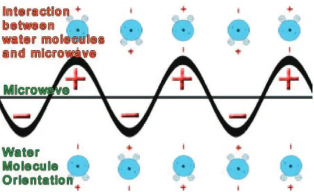 Figure 4 : Illustration de l'interaction des molécules d'eau avec le champ électromagnétique  fourni par les MO (47) 