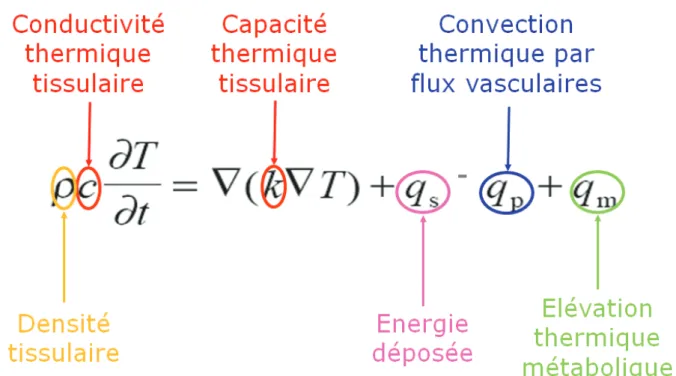 Figure 7 : Equation simplifiée de Pennes illustrant la thermodynamique impliquée dans les  traitements physiques thermiques de type MO, courtoisie du Pr Olivier Seror 