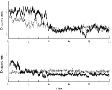 Figure 8. Variations in the distance between the C a atoms of Lys58 in the lower lip and Glu19 in the active site cleft (upper panel) and between the C a atoms of Tyr132 in the upper lip and Glu19 in the active site cleft (lower panel) through the simulati