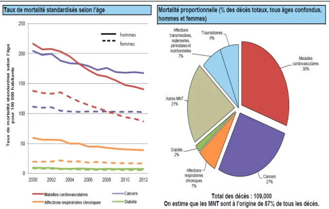 Figure 7 : Proportion des causes de décès dans le monde (2008) 2 