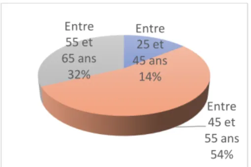 Illustration II : Répartition en pourcentage de la population d’étude par tranche d’âge 