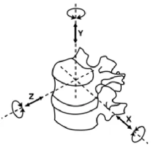 Figure 28. Coordonnées tridimensionnelles des mouvements vertébraux selon White et Panjabi [57] 