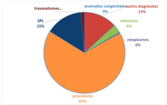 Fig. X : Répartition des motifs par composants chez les patients non hospitalisés 