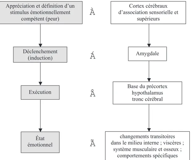 Diagramme des principales étapes dans le déclenchement et l’exécution d’une  émotion, avec la peur comme exemple