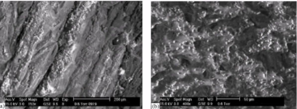 Fig. 8. ESEM micrographs of PDLLA/bioglass ®  (a) and PLGA/bioglass ®  (b) composite foam incubated in PBS  for 4 weeks