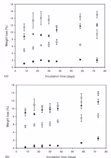 Fig. 5. Weight loss versus incubation time for the PDLLA/bioglass ®  (a) and PLGA/ bioglass ®  (b) composite  foams with 0 wt % (●), 5 wt % (○), 10 wt % (▲) and 40 wt % ( ◊)of bioglass ® 