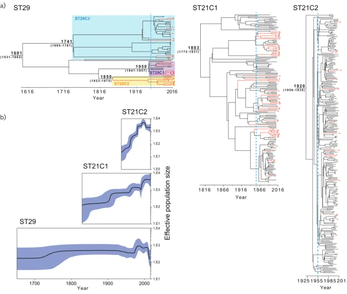 Fig. 2. Temporal analyses of the O26 strains. (a) Results of the temporal analyses of ST29, ST21C1 and ST21C2 are shown