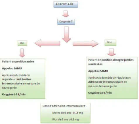 Figure 9 : Conduite à tenir en cas d’anaphylaxie 