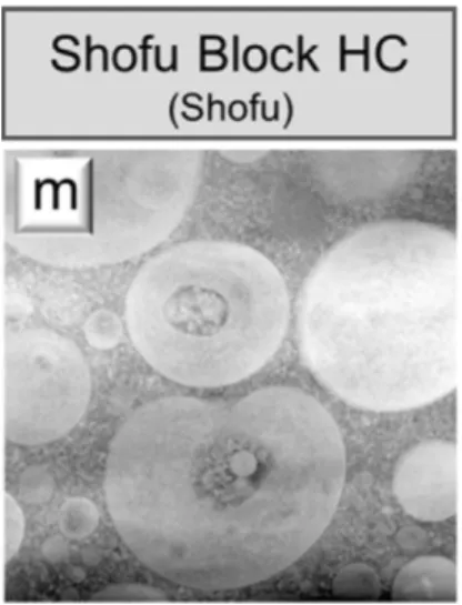 Figure 6 : Shofu Block HC au microscope électronique à transmission. 