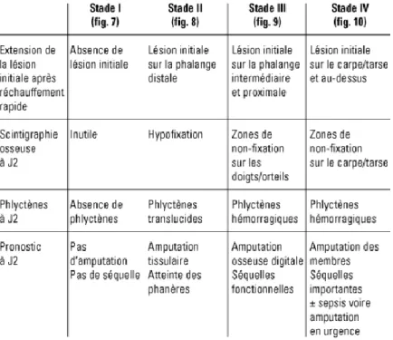 Figure 8 : Nouvelle classification des gelures sévères des extrémités  Source : Cauchy, et Marsigny, « Gelures des extrémités », 2003 