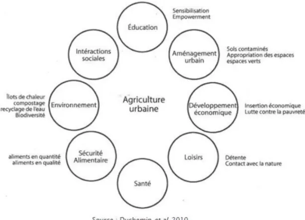 Figure 5 : la multifonctionnalité de l’agriculture urbaine (Duchemin et  al .,2010)  