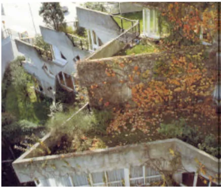 Figure 7 : toits terrasses en escalier du bâtiment de Renaudie 