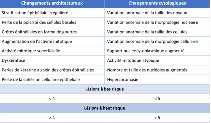 Tableau 5 : Classification binaire de la dysplasie épithéliale 