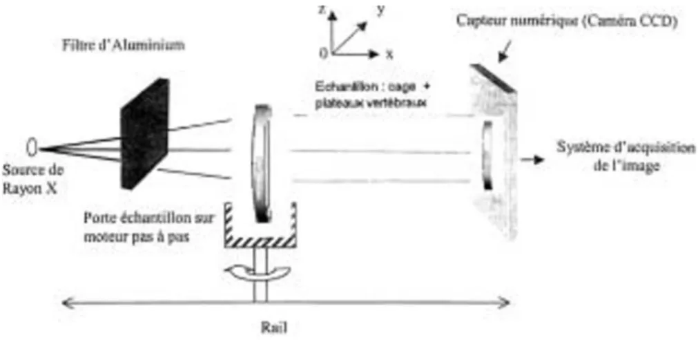 Figure 9 : Principe du microscanner 