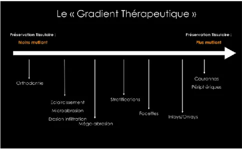 Figure 1 : Schéma représentant le gradient thérapeutique 