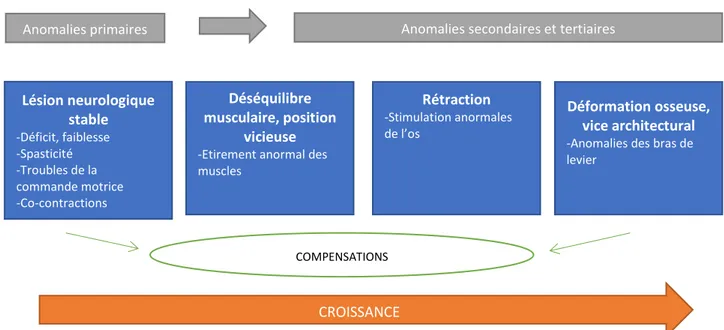 Figure 3 : Schéma des anomalies primaires, secondaires et tertiaires dans l’évolution de la  PCu (adapté d’après Dinomais M., 2017)  