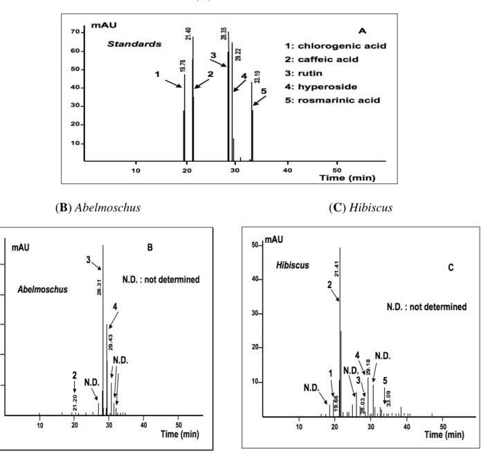 Figure 6. HPLC-UV/DAD chromatograms of standards and plants tested (340 nm). The  chromatograms were obtained from methanolic extracts of the dry plant powders with a RP  HPLC-UV/DAD analysis on a ODS column