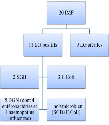 Figure 6 : Caractéristiques bactériologiques du LG chez les patients infectés 