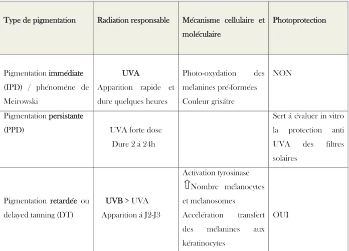 Tableau 1. Pigmentation facultative induite par les UVA et les UVB 